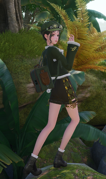 Adventuring in the ancient forest image