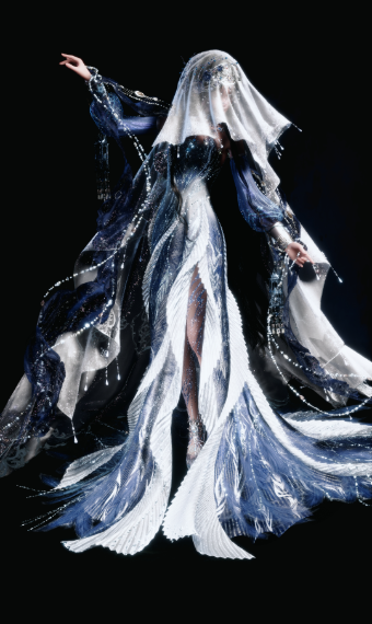 040 image