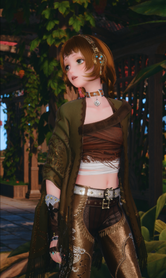 traveler image