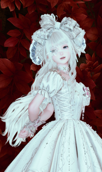 white lamb image