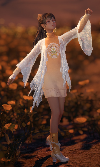 Summer Sunset image