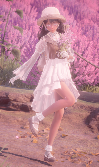 lavender farm image