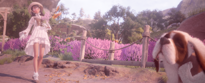 Third image