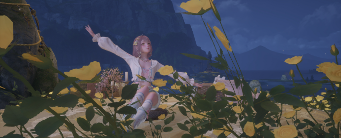 Third image