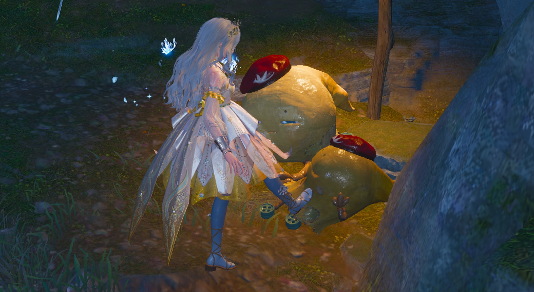 Look image
